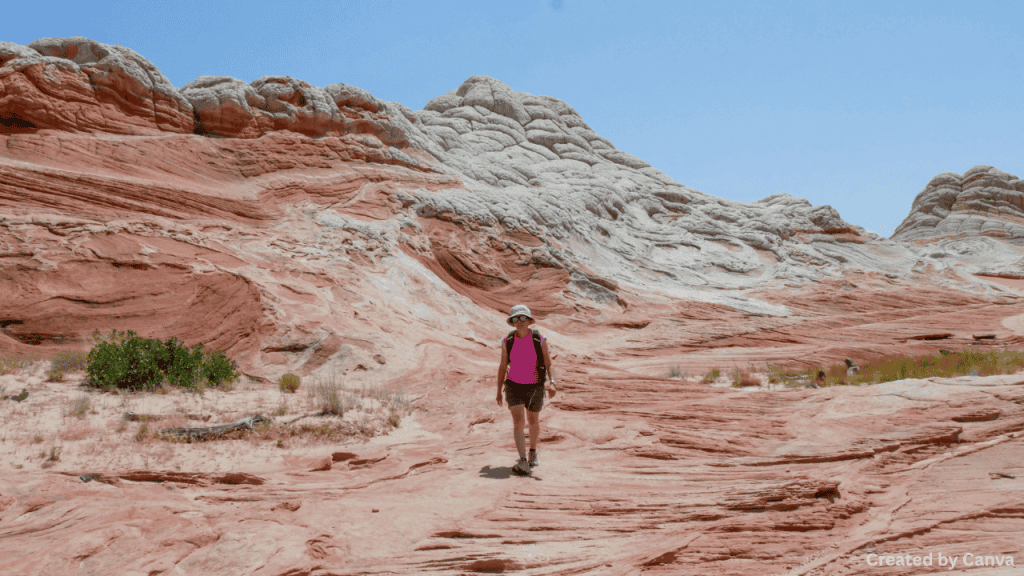 Going to Red Rock Canyon