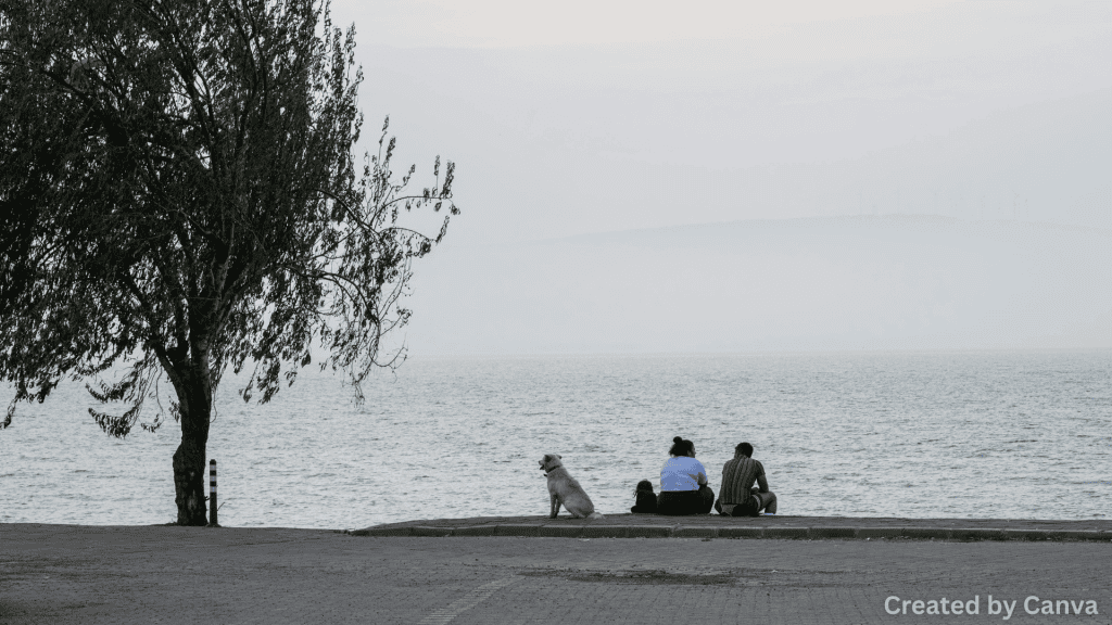 Go when there aren't many people there