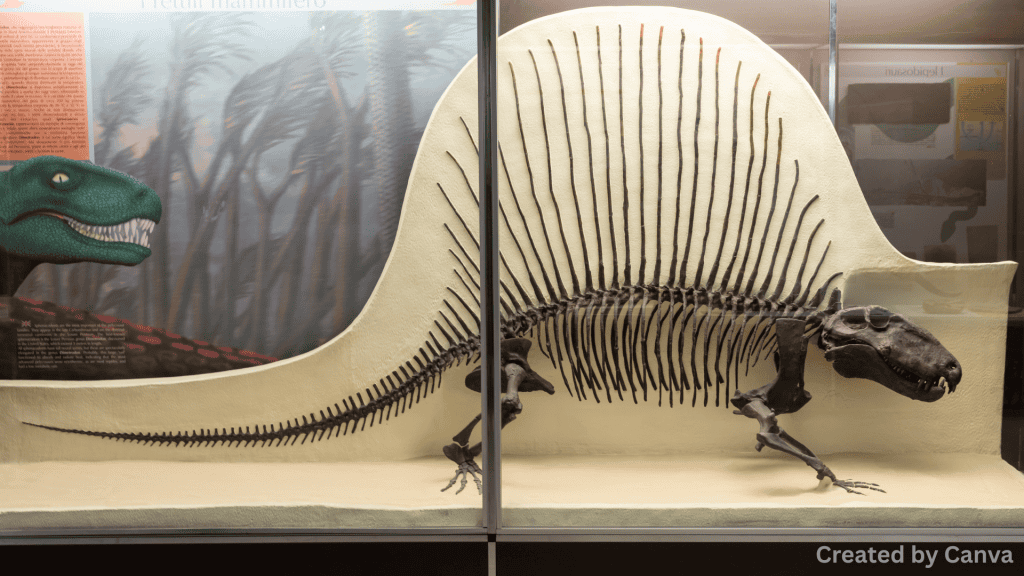 Museum of Natural History in Las Vegas