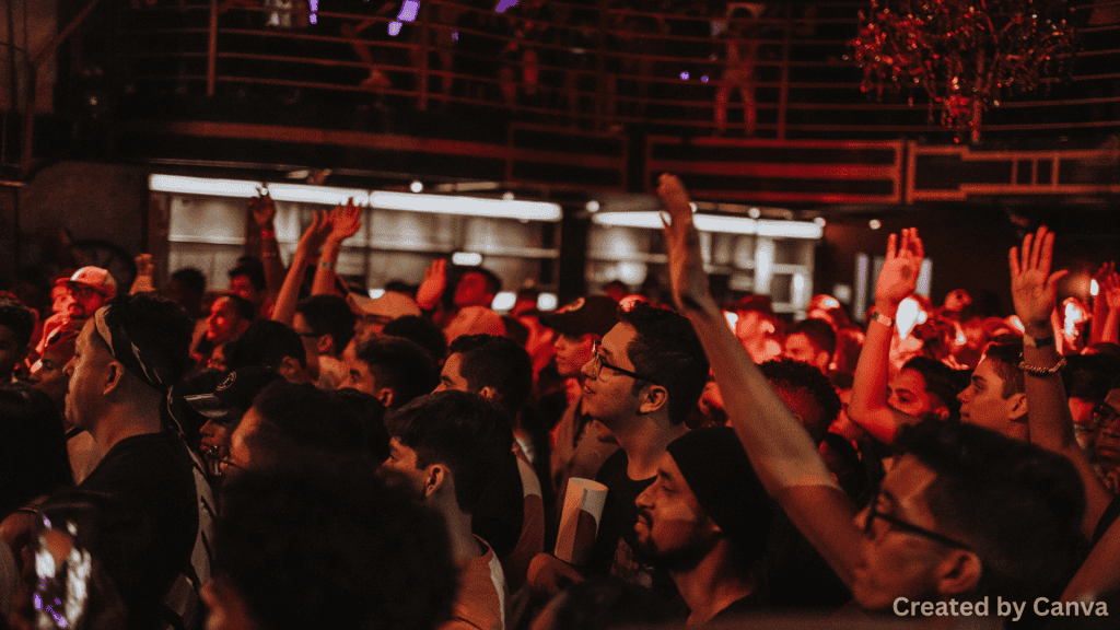 Shows and nightlife in person