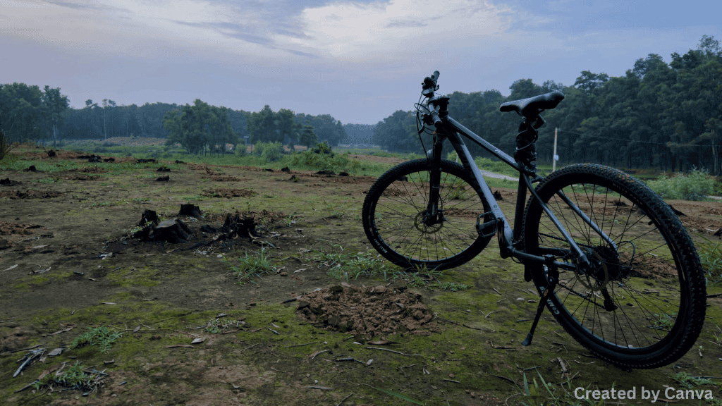 The Best Bike Paths in Las Vegas