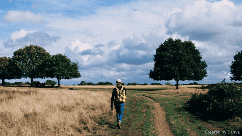 Best Outdoor Adventures Near Las Vegas for Nature Lovers