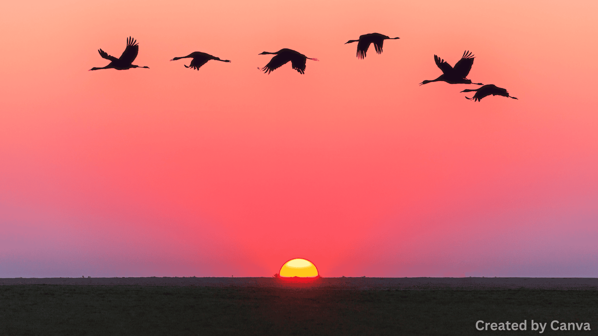 Best Las Vegas Spots for Sunset and Golden Hour Views