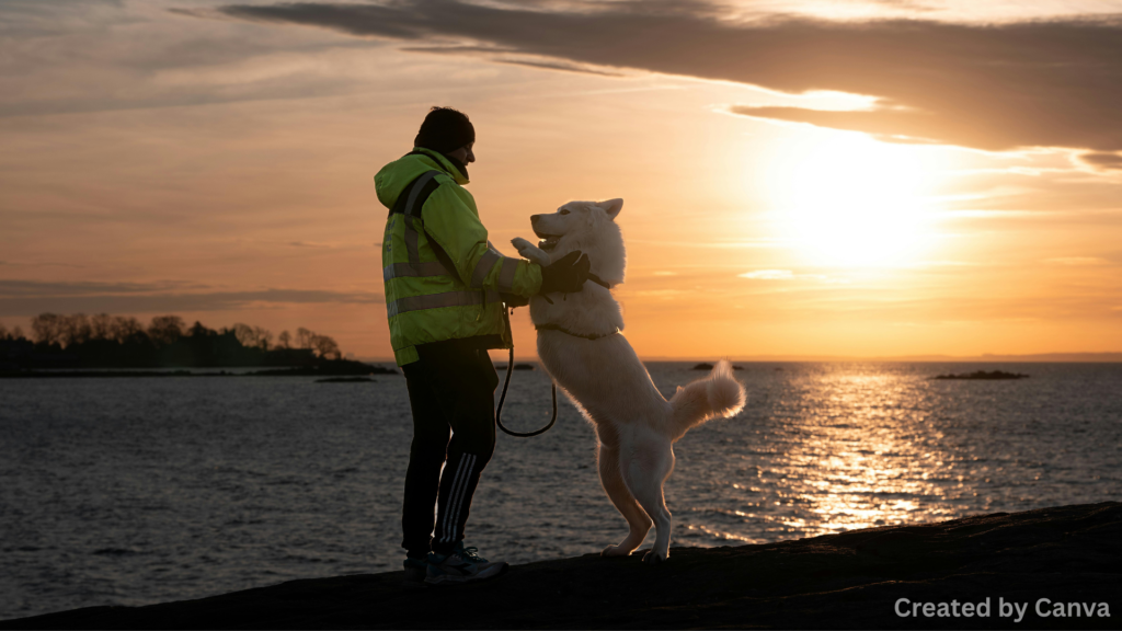 Enjoy the Natural Beauty of Las Vegas