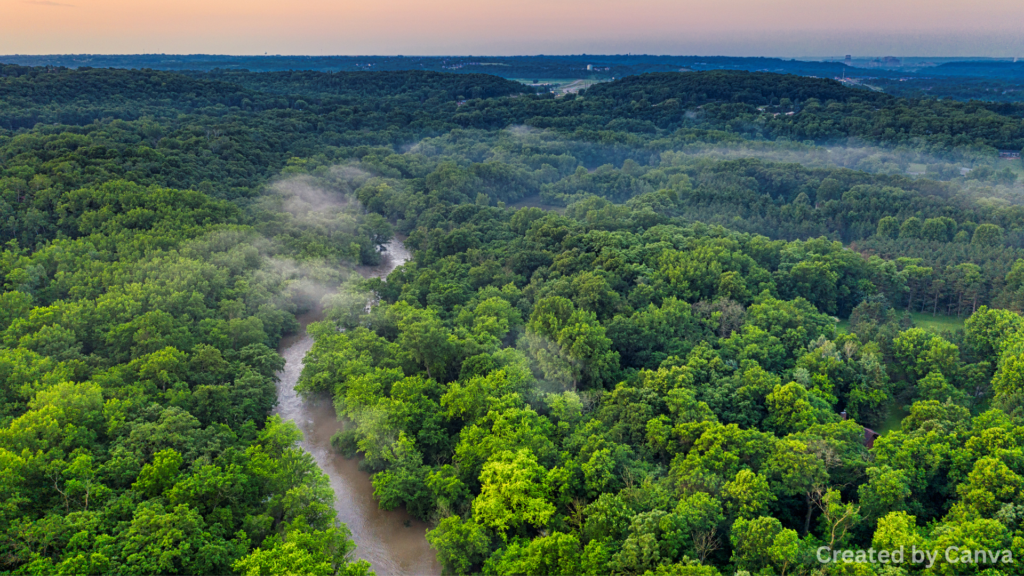 Las Vegas's Secret Green Spaces