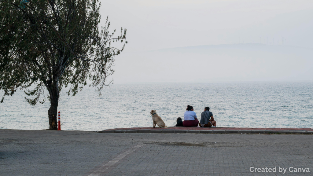 Quiet Places for Nature Lovers