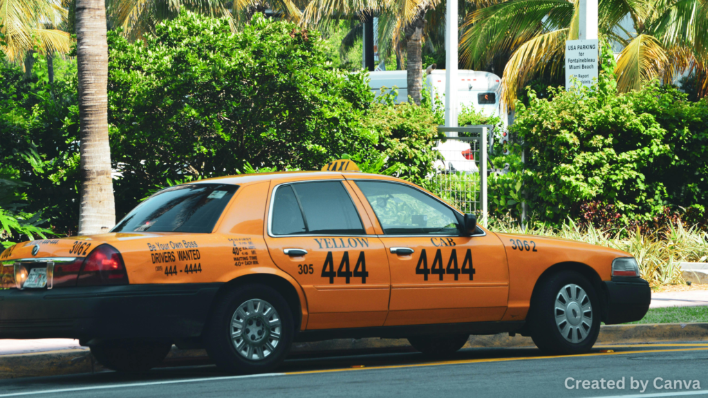 Shuttles and rideshare services that are flexible