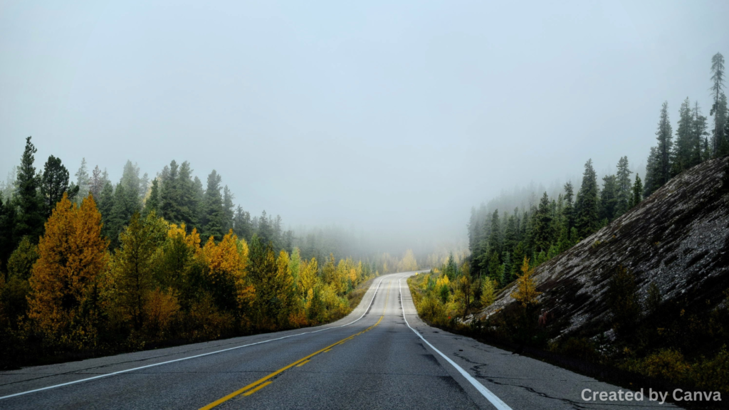 Beautiful Roads to Make Your Trip Better