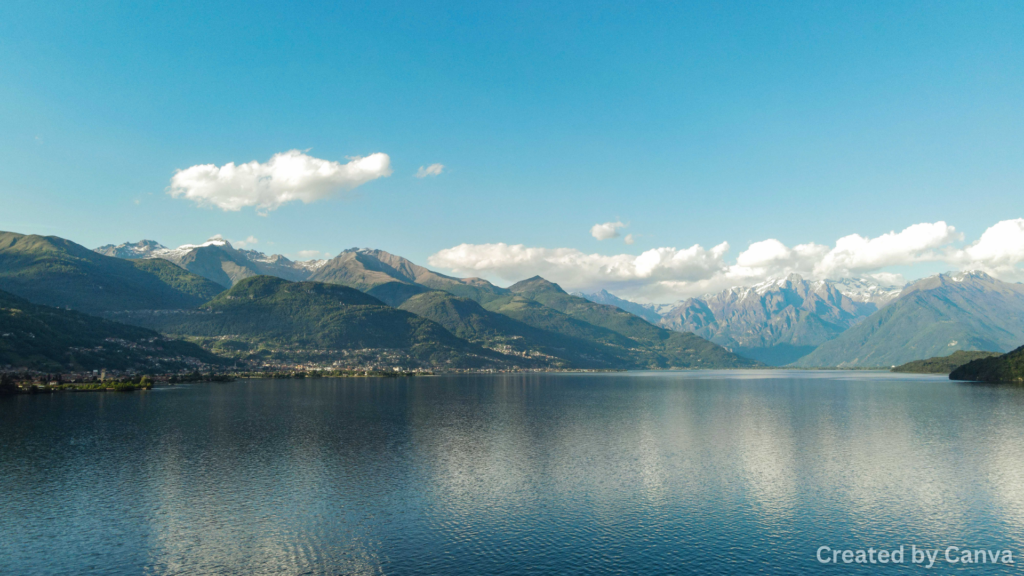 Lake Mead: Fun in the Water and Animals
