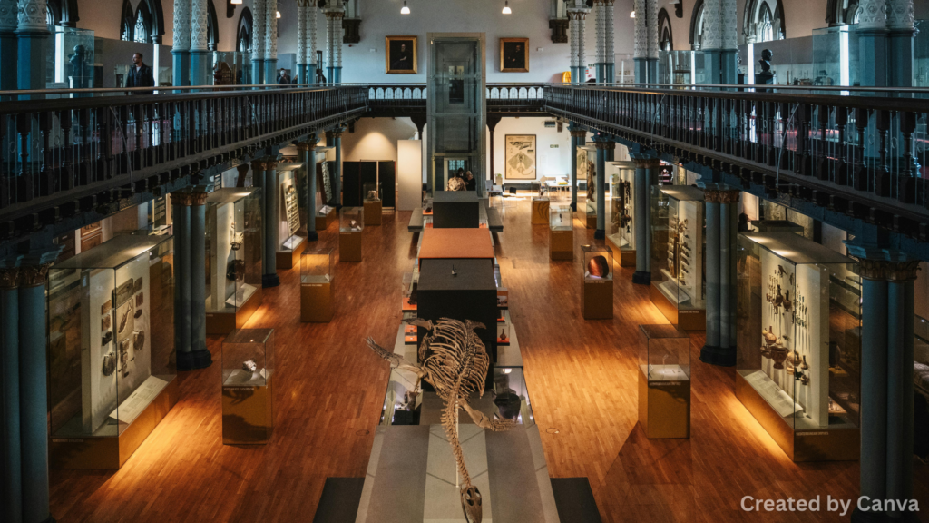 Strange Museums That People in Vegas Love