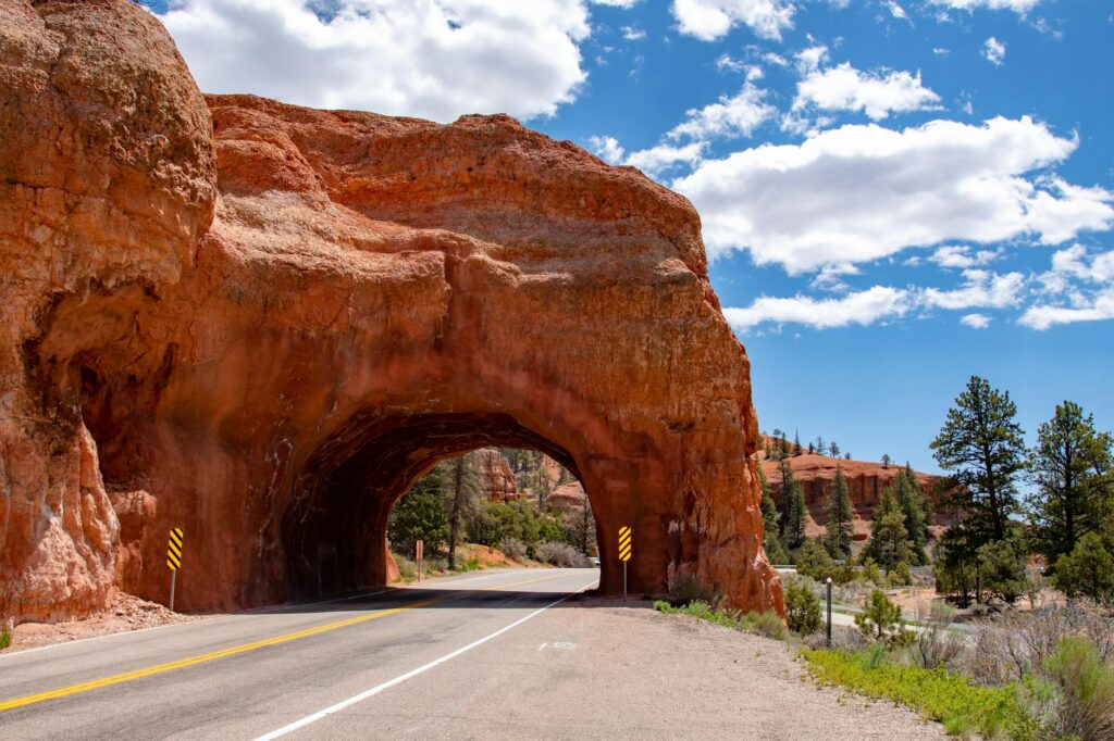 8. Take a Scenic Drive to Red Rock Canyon — unique experiences Las Vegas