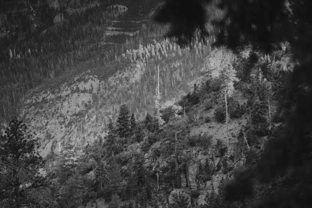 A picturesque sunset at Mount Charleston, a popular hiking destination. — outdoor activities Las Vegas