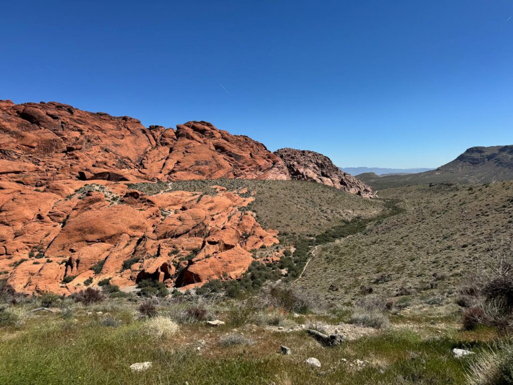 A scenic shot of the desert landscape during the spring bloom, highlighting the best time to visit Las Vegas.