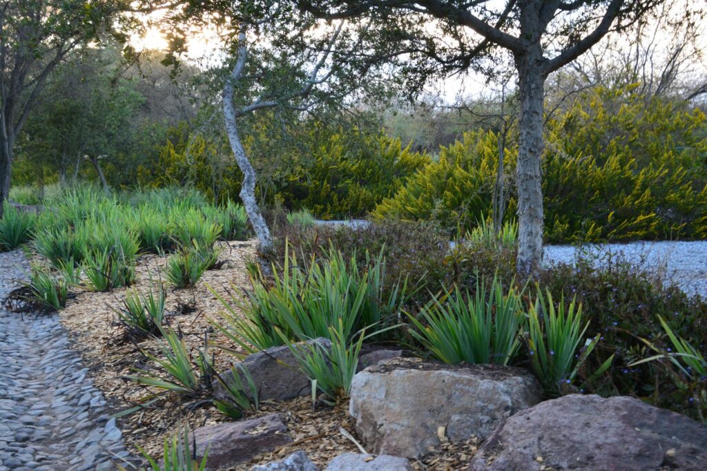 A scenic view of the Springs Preserve showcasing its gardens and trails. — off-strip activities Las Vegas