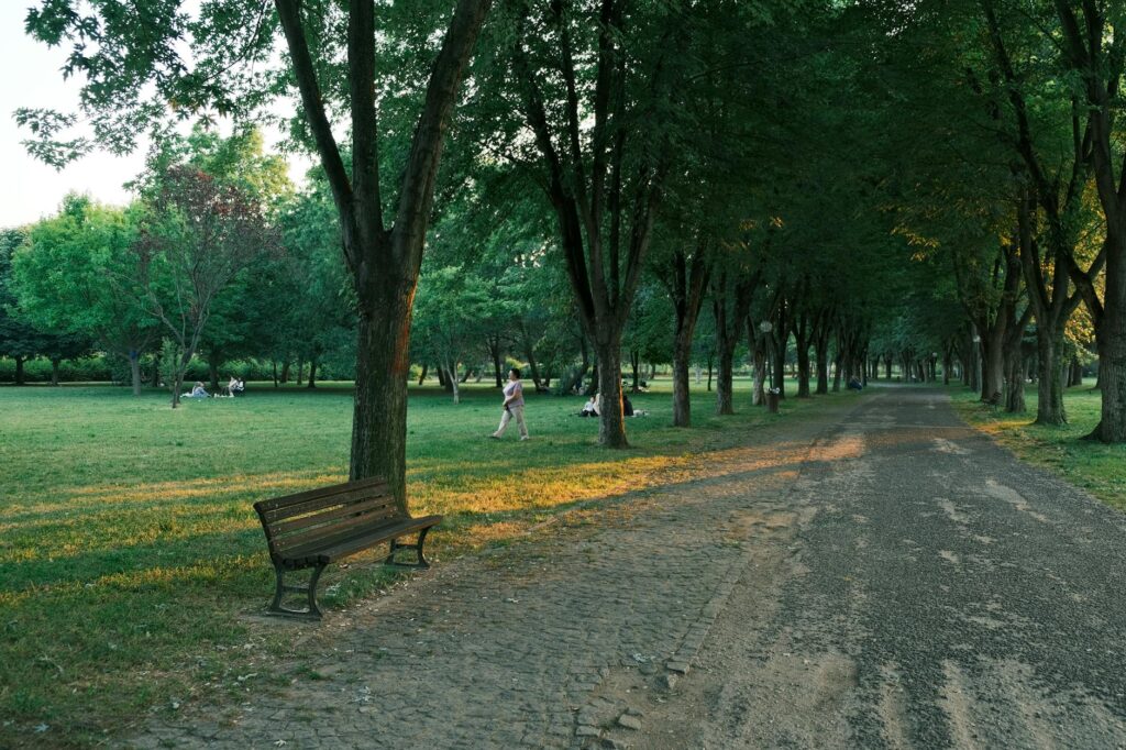 Families enjoying a picnic at Sunset Park surrounded by greenery. — free attractions in Las Vegas