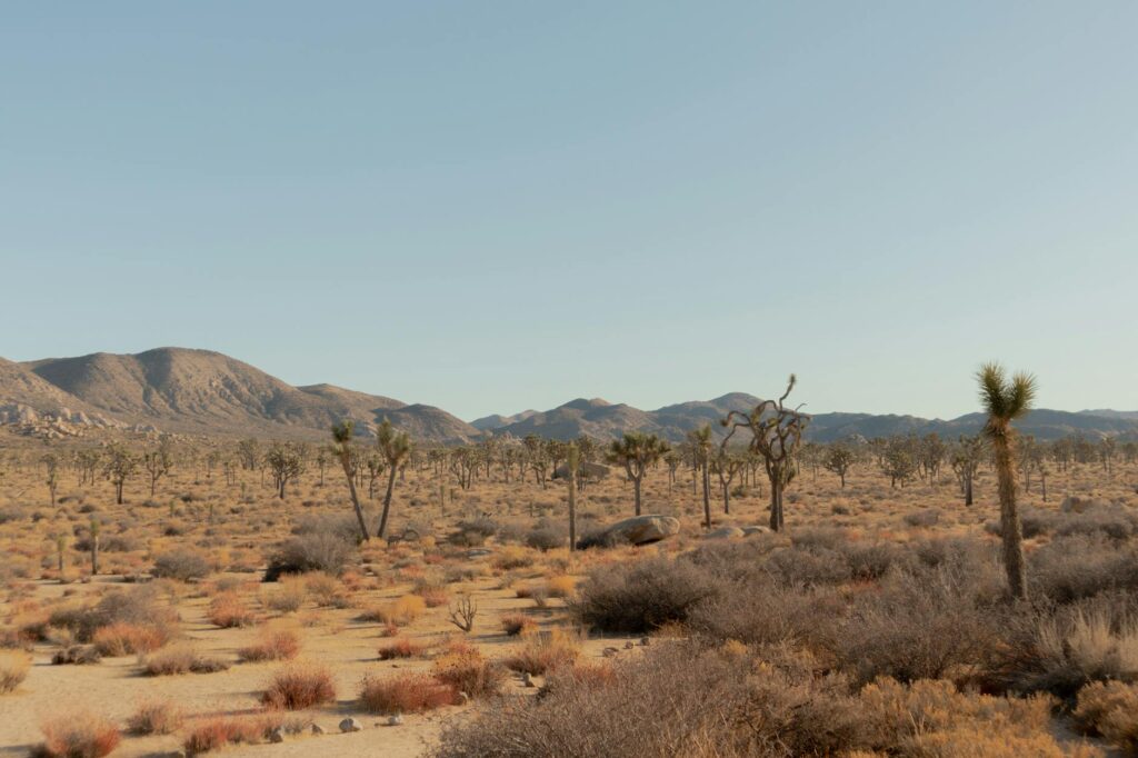 Wildlife spotted in the Mojave National Preserve, highlighting the region's diverse ecosystems. — outdoor activities Las…
