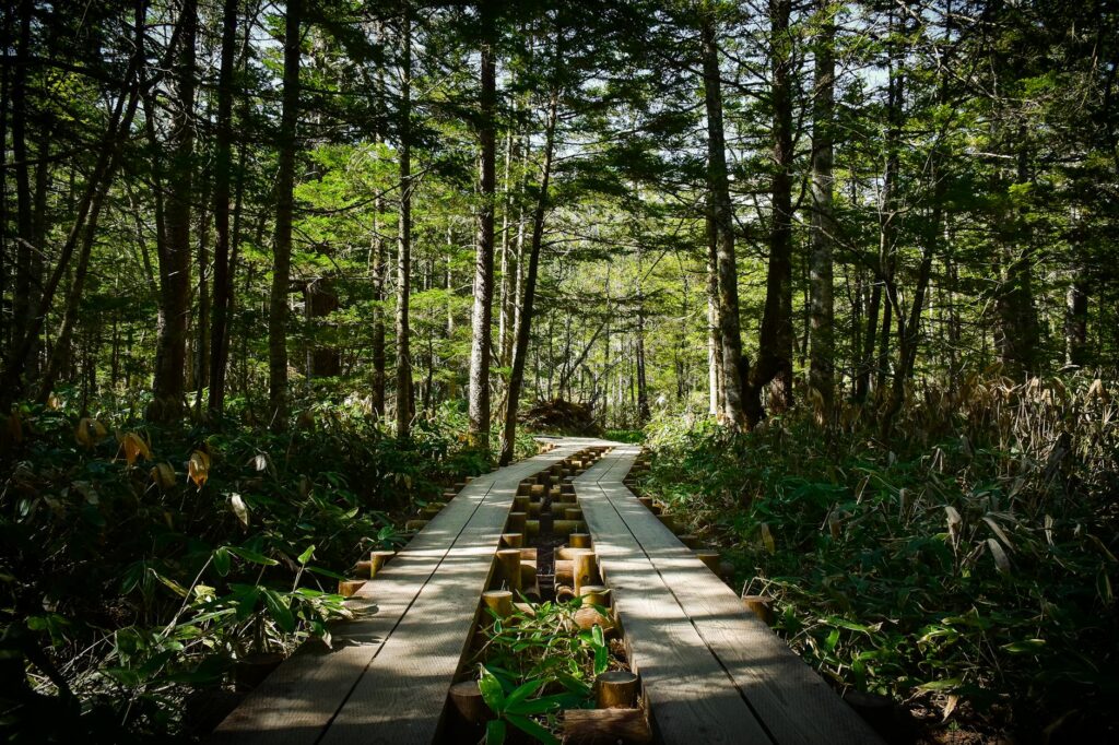 A picturesque hiking trail outside of the main tourist areas, emphasizing the natural beauty of the region. — hidden gem…
