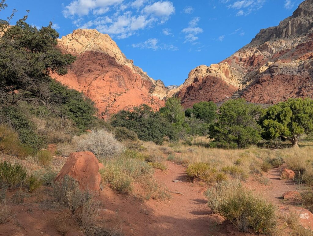 A scenic hiking trail in Red Rock Canyon, highlighting the natural beauty of the area. — free things las vegas