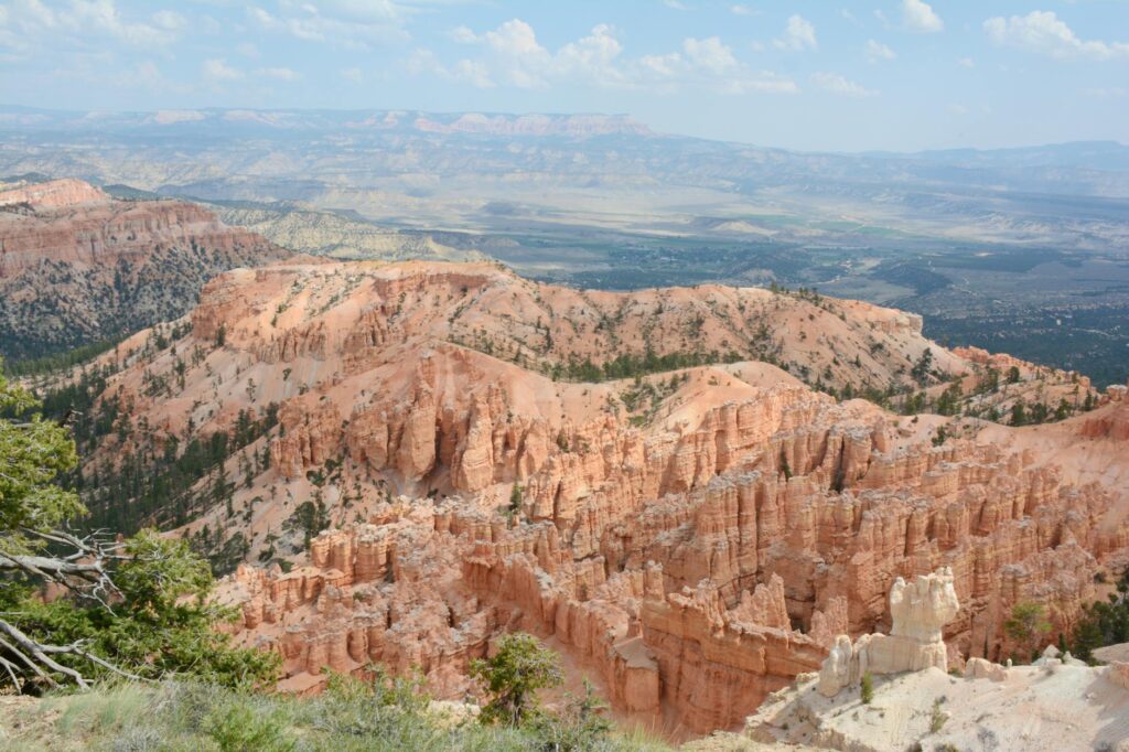 A scenic overlook of Red Rock Canyon showcasing its red cliffs — Las Vegas day trips