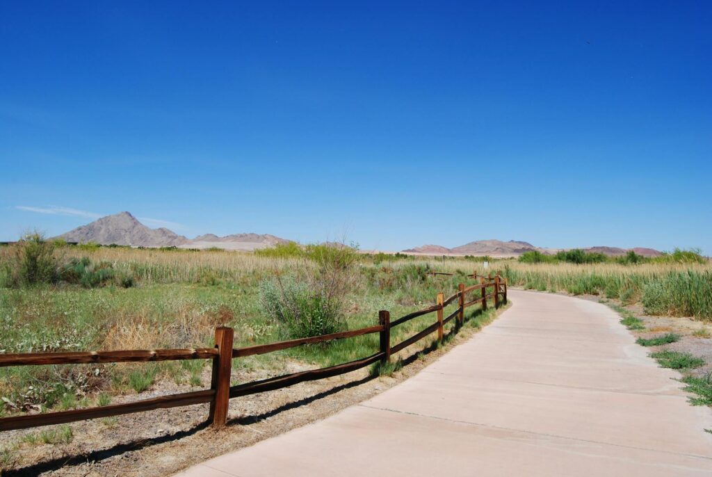 A scenic view of a Las Vegas park where families can picnic and play. — family activities Las Vegas