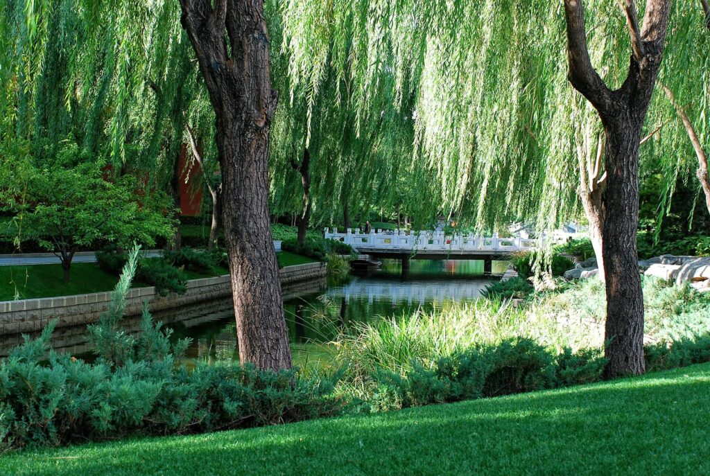 A scenic view of a hidden park in Las Vegas, showcasing lush greenery and a calm atmosphere. — hidden gems in Las Vegas