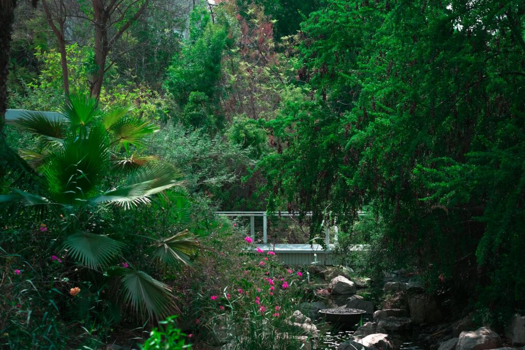 A serene image of the Springs Preserve, with lush gardens and walking paths inviting visitors to explore. — free attract…