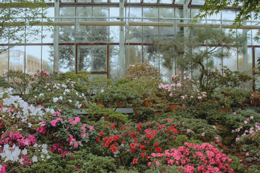 A serene scene inside the Bellagio Conservatory and Botanical Gardens, filled with seasonal flora. — unique attractions …