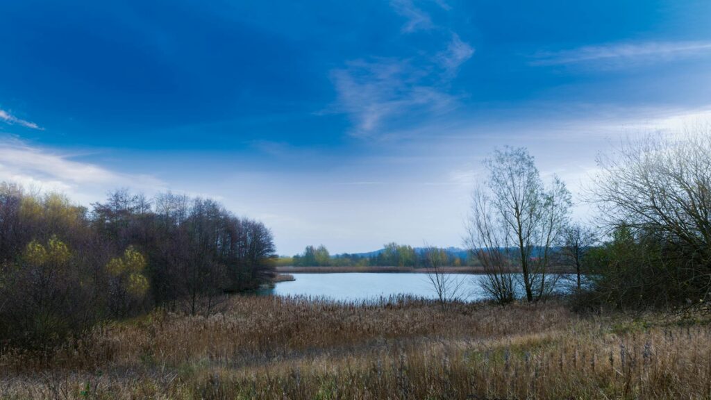 A serene view of the trails at Clark County Wetlands Park. — hidden gems in Las Vegas