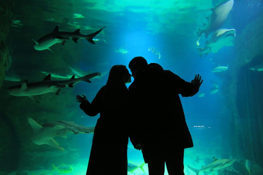 Children interacting with sea creatures at Shark Reef Aquarium. — family-friendly attractions Las Vegas