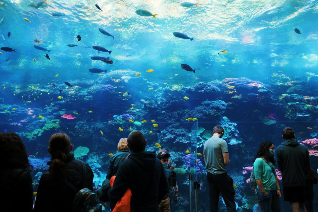 Families exploring the Shark Reef Aquarium, surrounded by colorful marine life. — attractions in Las Vegas