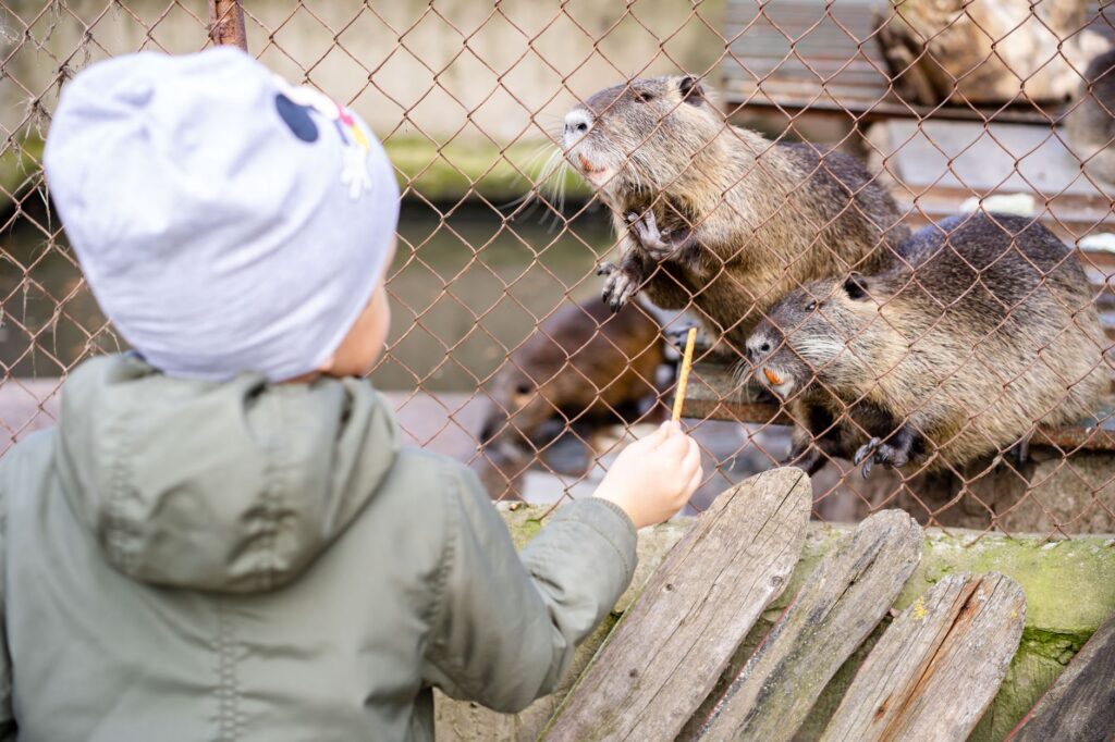A group of kids marveling at the animal exhibits at the Las Vegas Zoo, highlighting educational experiences. — family-fr…