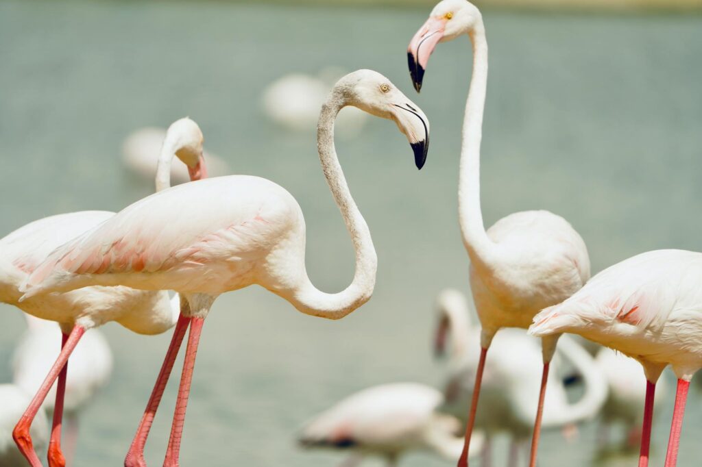 Families enjoying the Wildlife Habitat at the Flamingo, watching exotic birds — free attractions Las Vegas