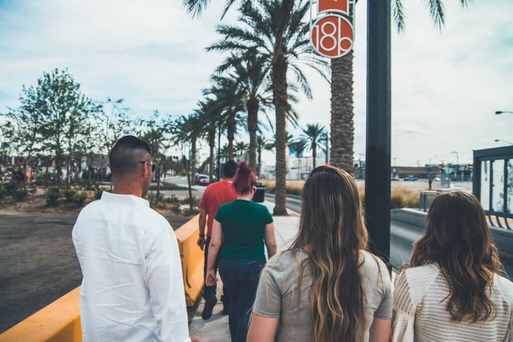 A map of the RTC bus routes in Las Vegas. — las vegas transport