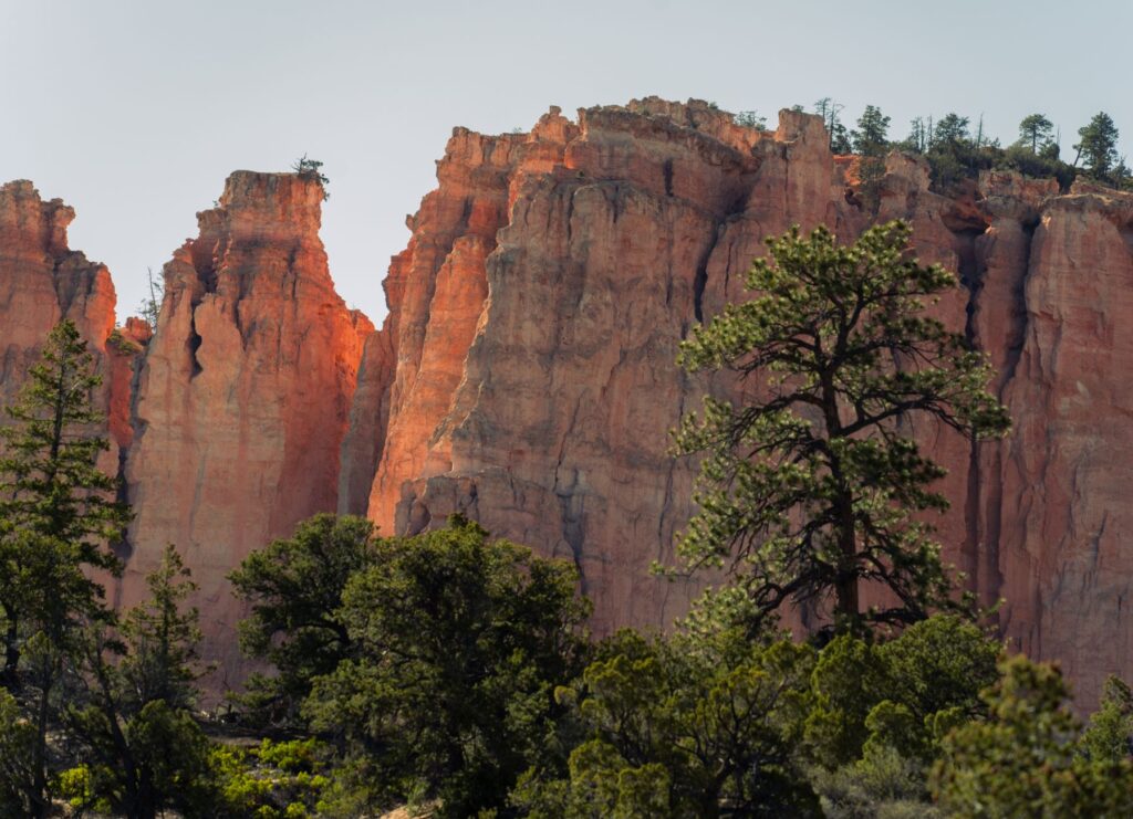 A scenic photograph of Red Rock Canyon, highlighting the natural beauty just outside the city. — Las Vegas attractions