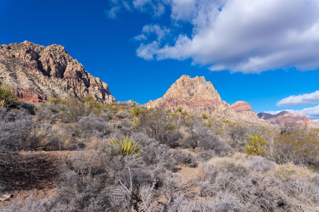 A scenic view from a hidden hiking trail in Las Vegas. — hidden gems in Las Vegas