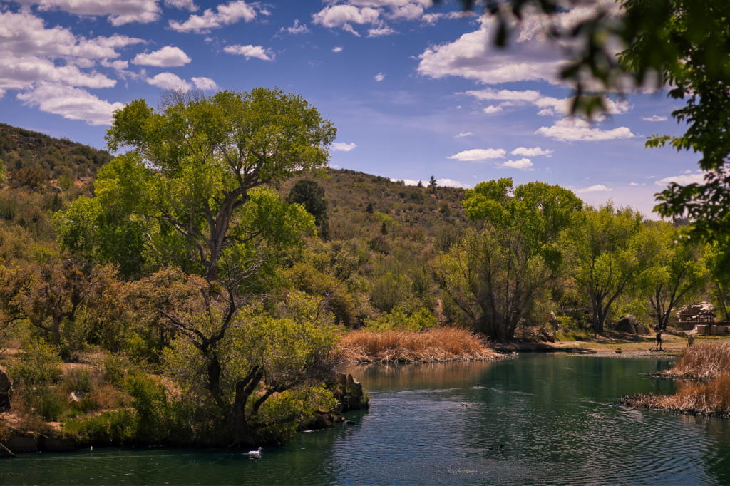 A scenic view of the Springs Preserve with lush greenery and desert landscapes, highlighting its natural beauty. — hidde…