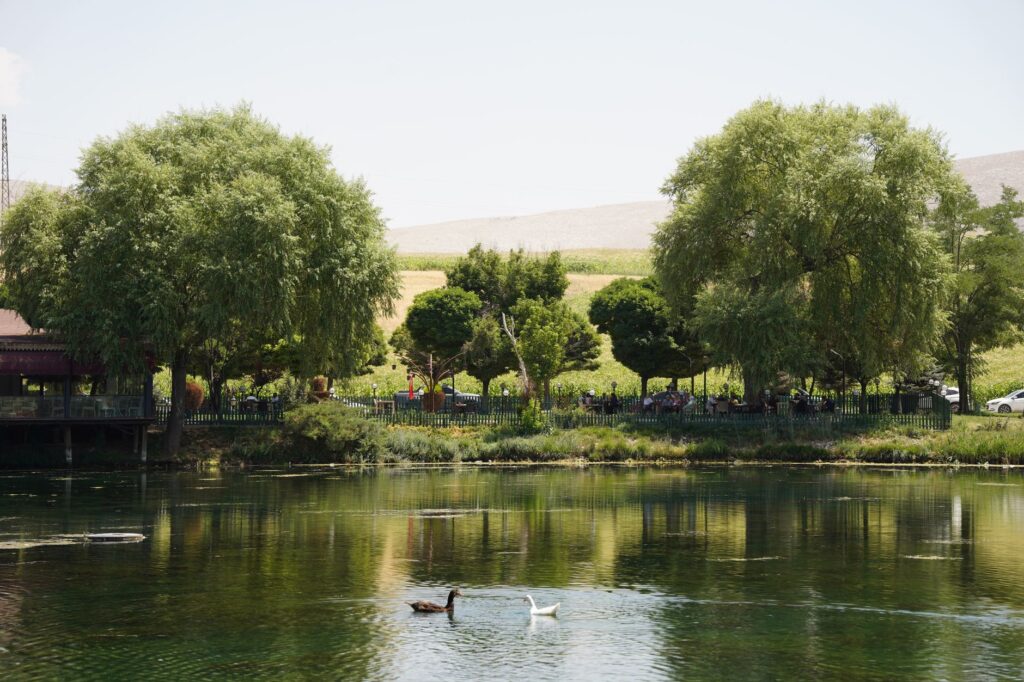 A serene view of a lesser-known park with visitors enjoying a picnic. — hidden gems Las Vegas