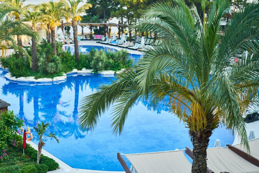 A stunning pool view at a luxury hotel in Las Vegas, showcasing cabanas and palm trees. — luxury hotels in Las Vegas