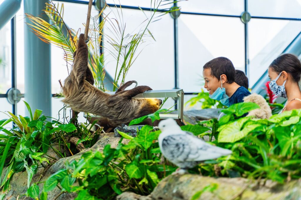 Children exploring the animal exhibits at the Las Vegas Zoo, surrounded by lush greenery. — family activities Las Vegas