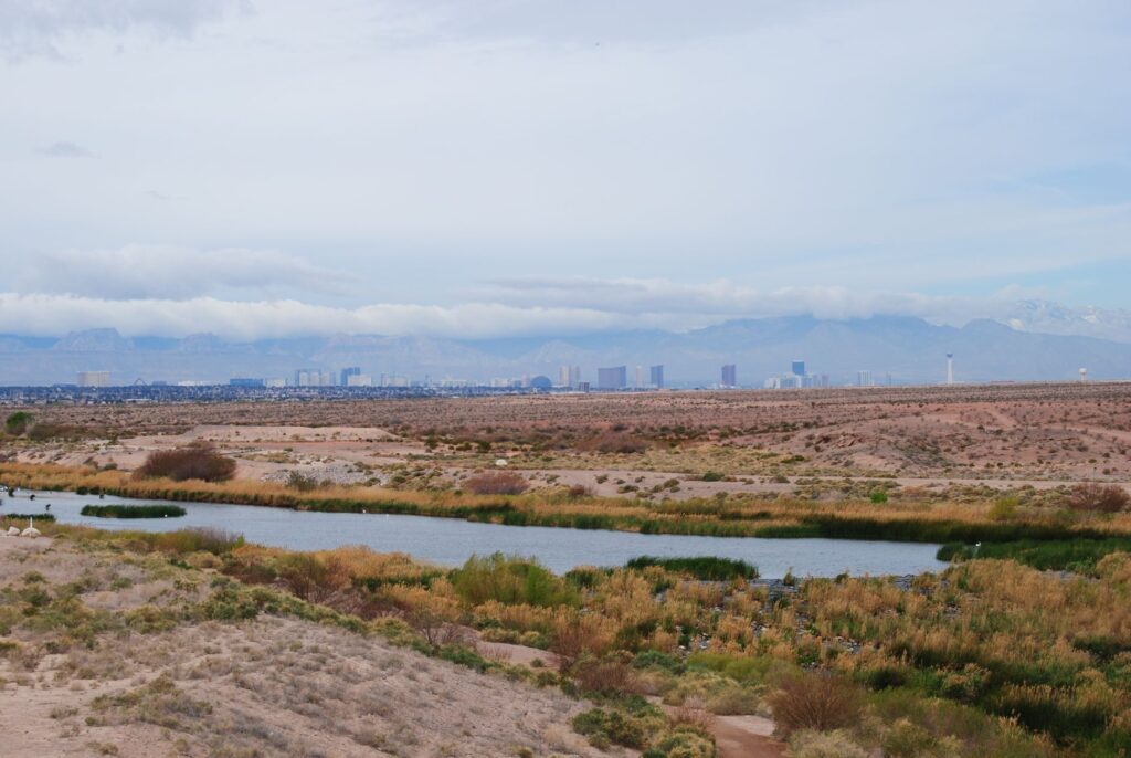 A hidden park with stunning views of the Las Vegas skyline, perfect for a picnic. — hidden gems Las Vegas