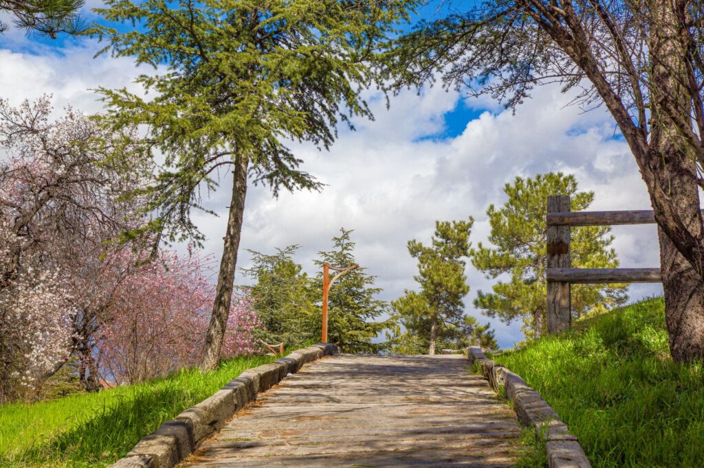 A picturesque park outside the Strip, perfect for relaxation and enjoying nature. — off the strip attractions Las Vegas