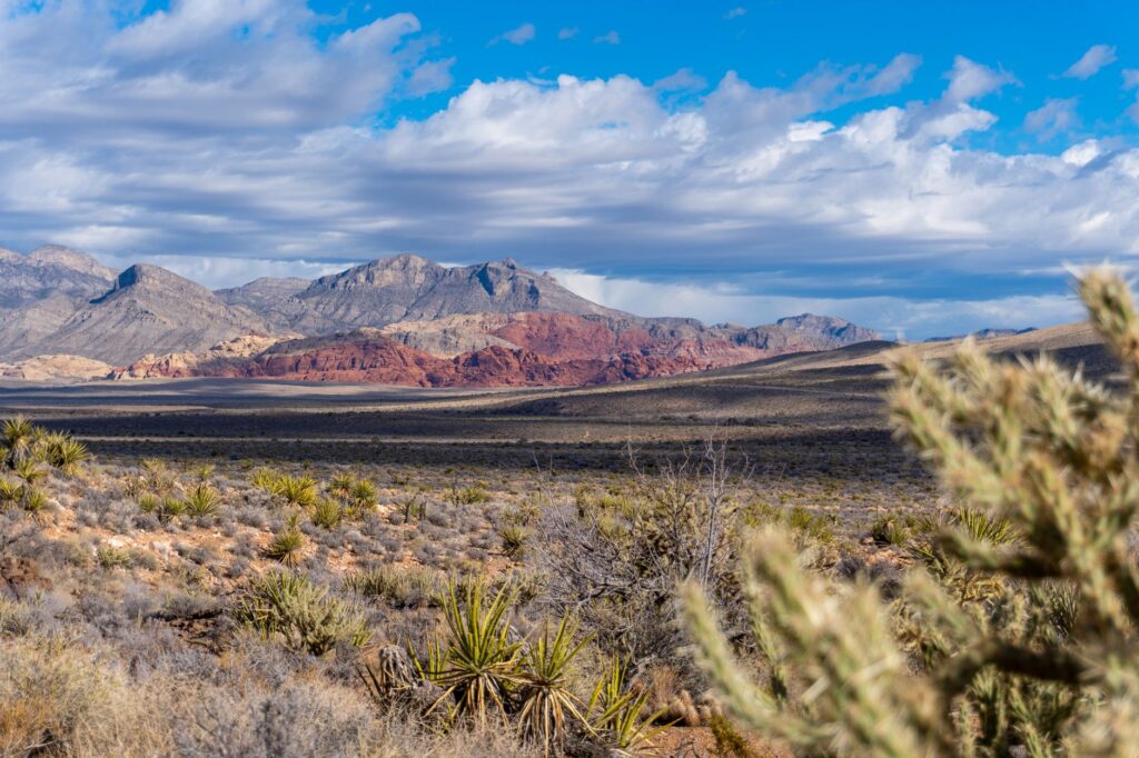 A scenic view of Red Rock Canyon, a hidden gem near Las Vegas — local guide to Las Vegas