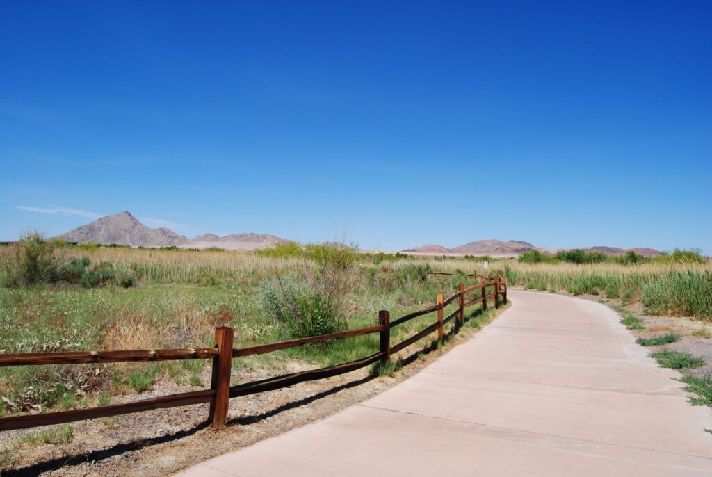 A scenic view of a lesser-known park in Las Vegas with lush greenery. — hidden gems Las Vegas