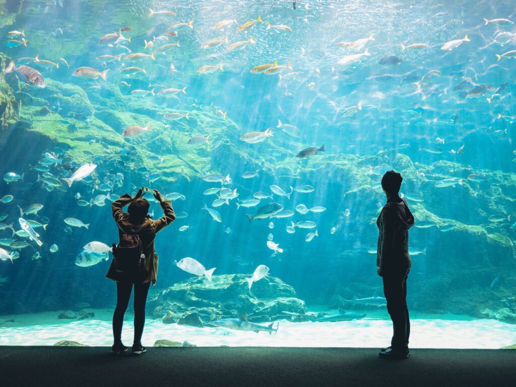 An underwater restaurant with views of colorful marine life visible through large glass windows. — unique dining Las Vegas