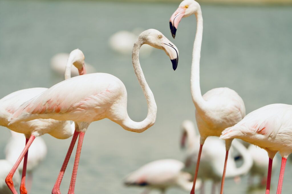 Families enjoying the Wildlife Habitat at the Flamingo, with exotic birds in the backdrop. — free attractions in Las Vegas