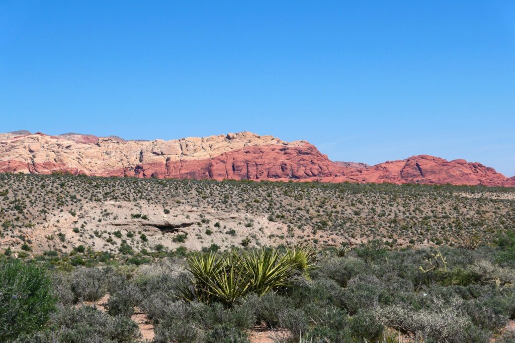 The scenic view of Red Rock Canyon showcasing its natural beauty and free attractions Las Vegas