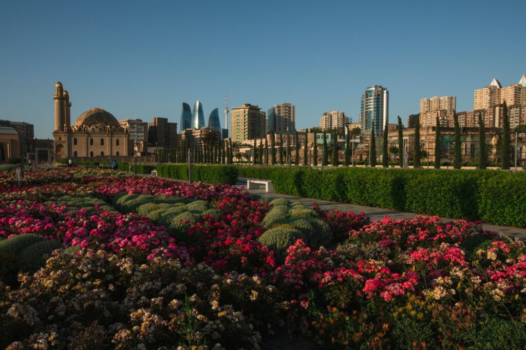 A panoramic view of a serene park that showcases local flora. — hidden gems in Las Vegas
