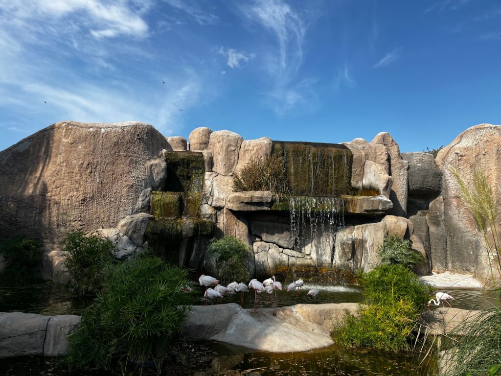 The wildlife habitat at the Flamingo, featuring exotic birds and lush greenery. — free things to do in Las Vegas